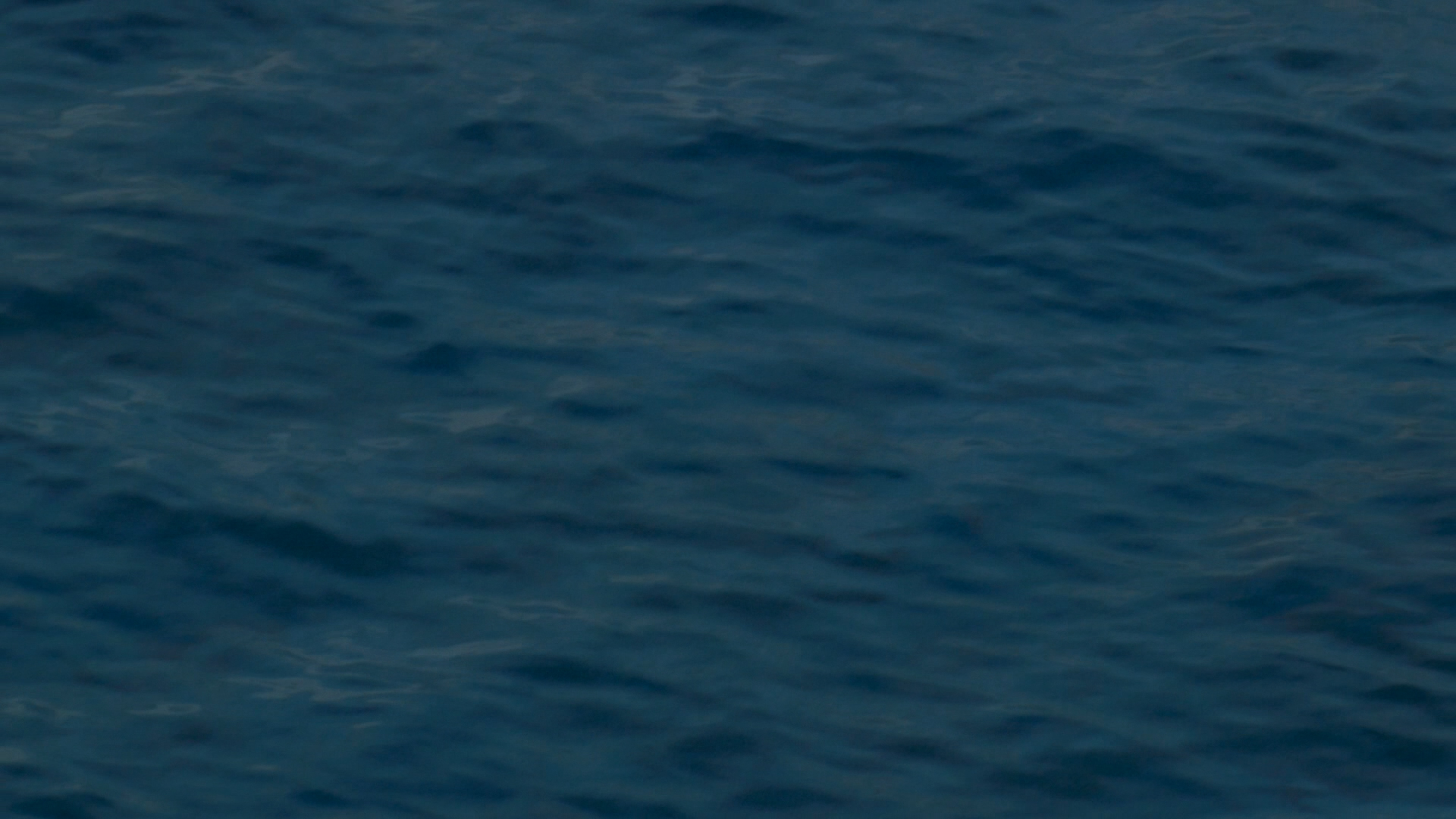 2022-11-08 06 Uhr 12 das Meer (Video)